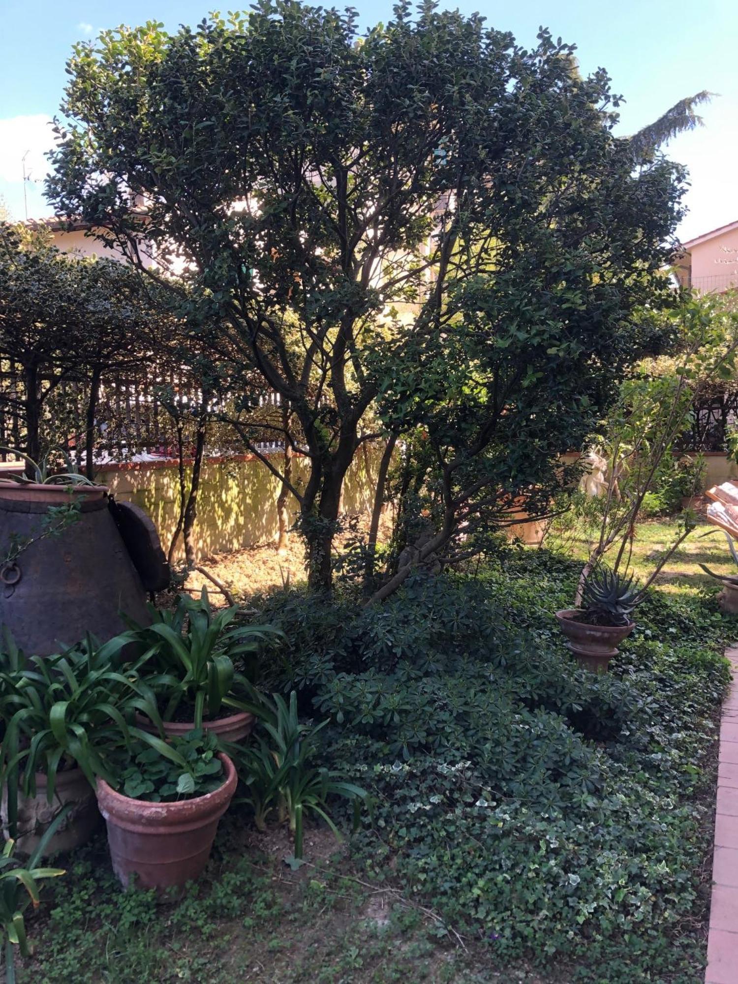 La Villa Bianca - Appartamento In Villa Sesto Fiorentino Exterior foto